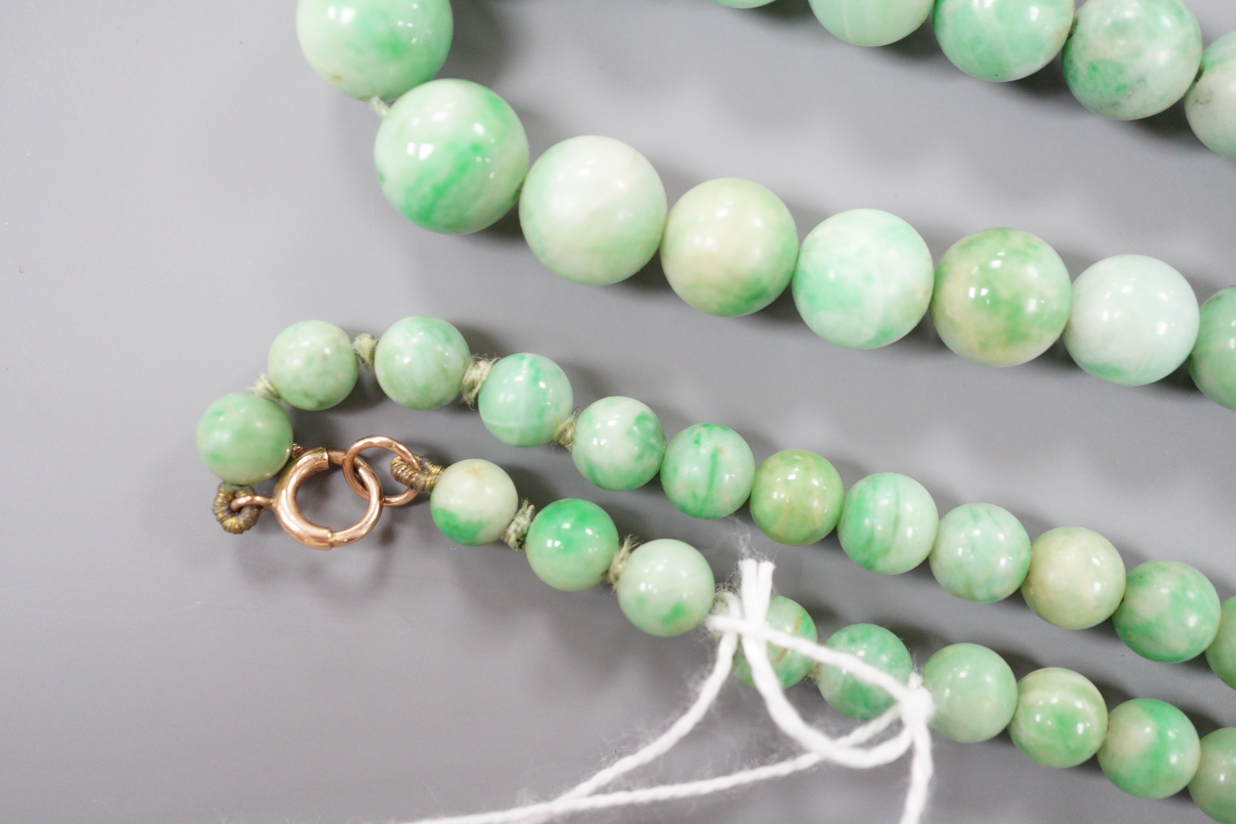 A single strand graduated circular jade bead necklace, with 9ct clasp, 66cm.